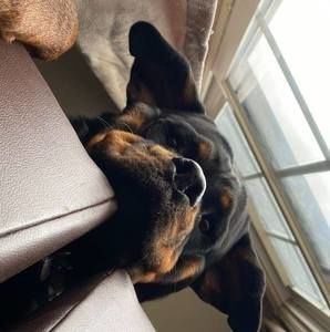 Meet your Posher, Lisa